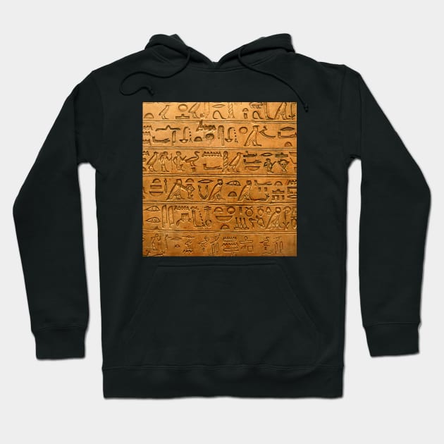 Egyptian hieroglyphics Hoodie by Dashu